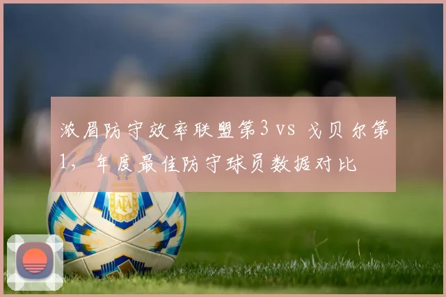 浓眉防守效率联盟第3 vs 戈贝尔第1,年度最佳防守球员数据对比